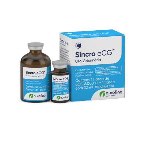 SincroECG