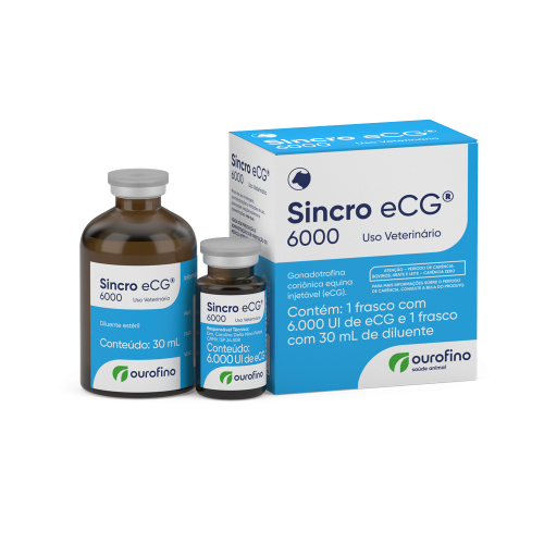 SincroECG 6000ui