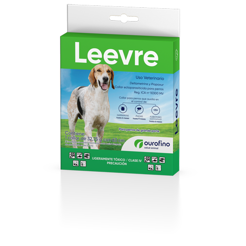 Leevre 63cm